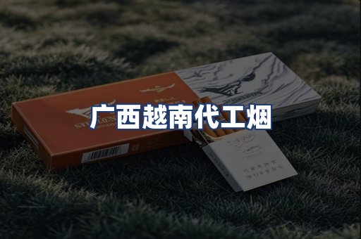 广西越南代工烟